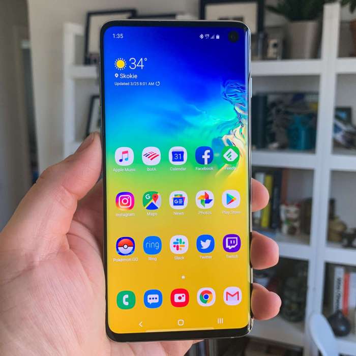 Samsung S 10