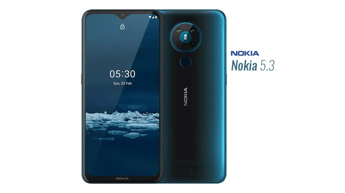 Nokia 5.3