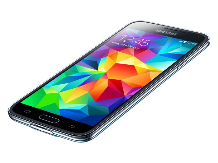 Galaxy S5