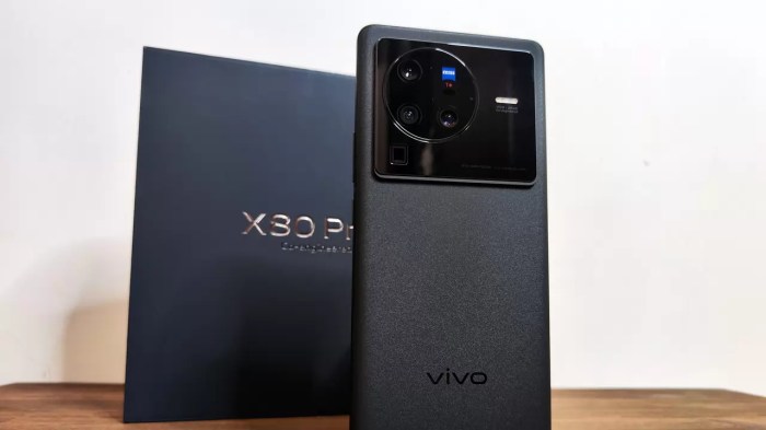 Vivo X 80 Pro