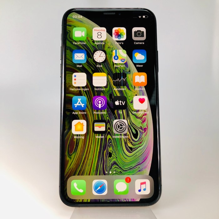 Apple Iphone Xs 64gb