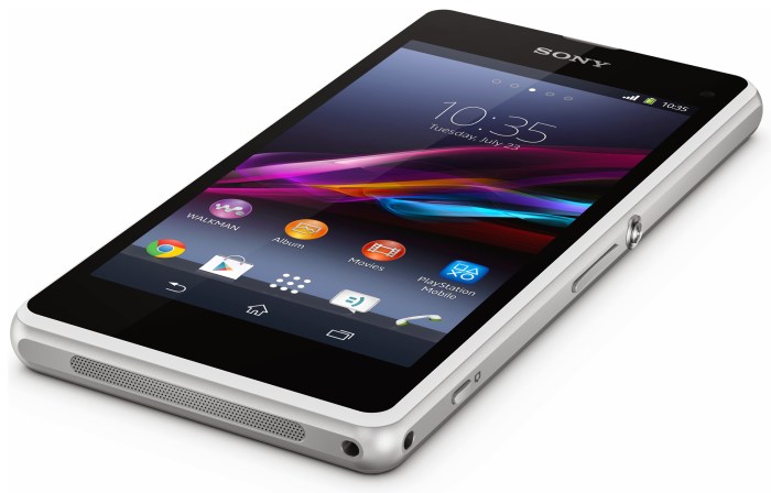 Sony Xperia Z1