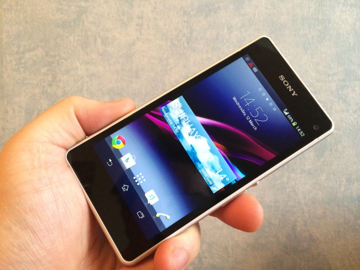 Sony Xperia Z1