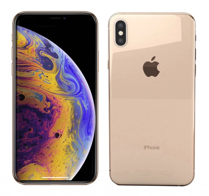 Apple Iphone Xs Max 256gb