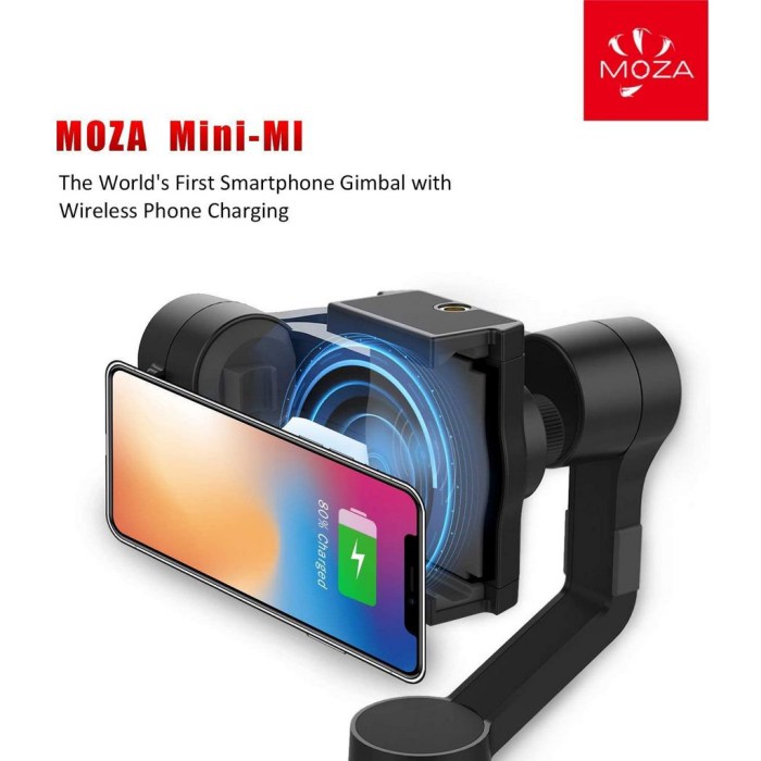 Moza Mini Mx