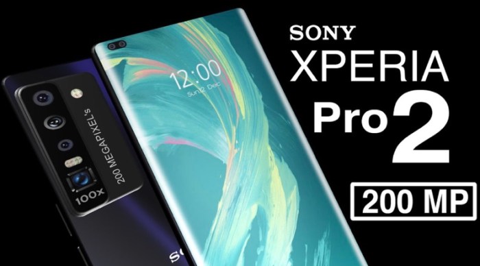 Sony Xperia Pro Ii