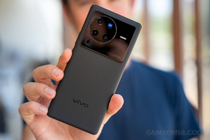 Vivo 80 X Pro