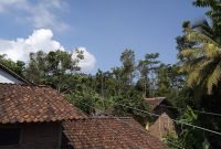 "Huawei Y5 2016: Smartphone Entry Level Delangan Menarik"