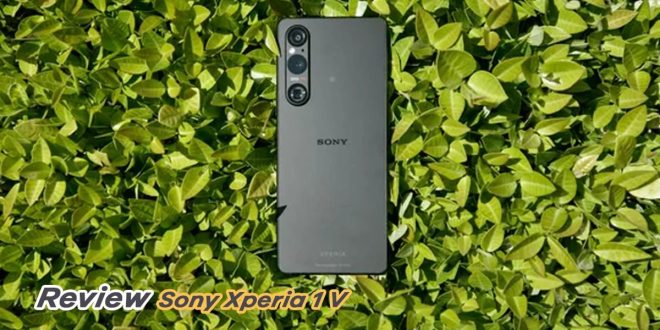 "Sony Xperia 1 Haran: Panduan Lengkap Untuc Membeli Shartphone Flagship"